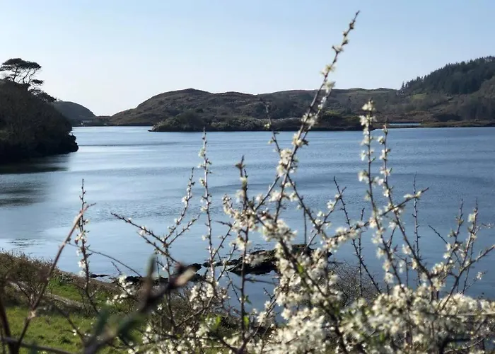Lough Hyne Cottage Skibbereen