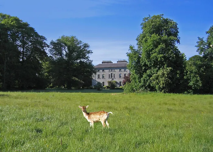 Coopershill House Hotel Riverstown 