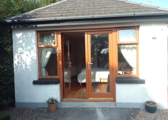 The Oystercatcher Rostrevor
